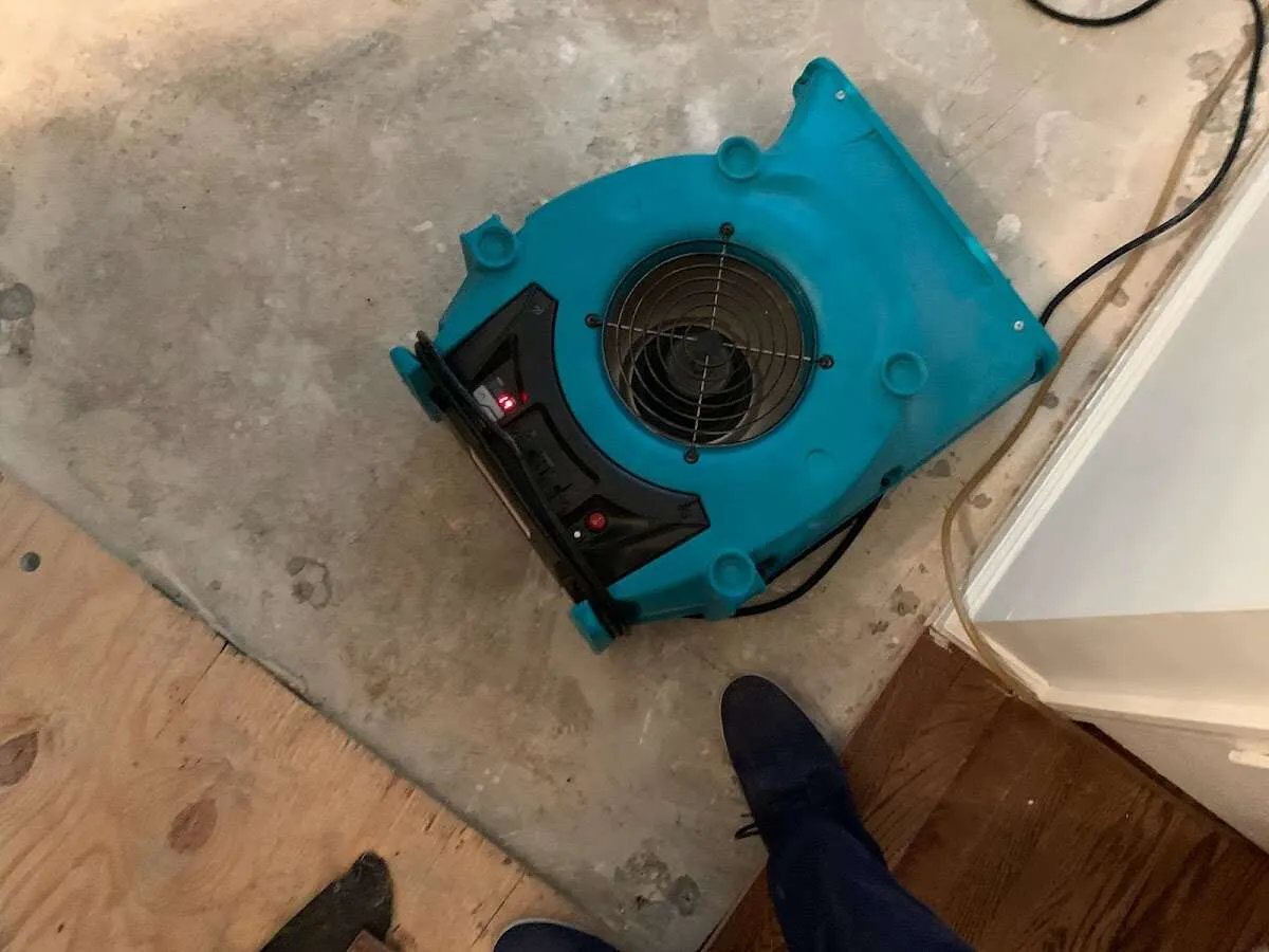 Air mover drying subfloor during Commercial Water Damage Restoration in Orland